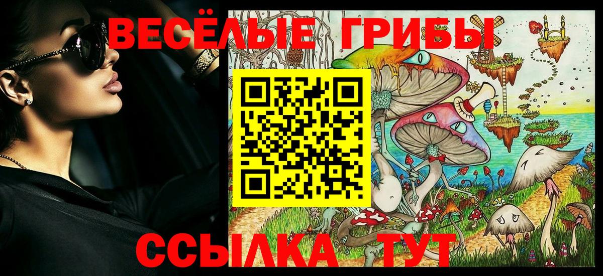 Михайловка  Галлюциногенные грибы Psilocybine cubensis  Галлюциногенные грибы прущие грибы  Вход с VPN 